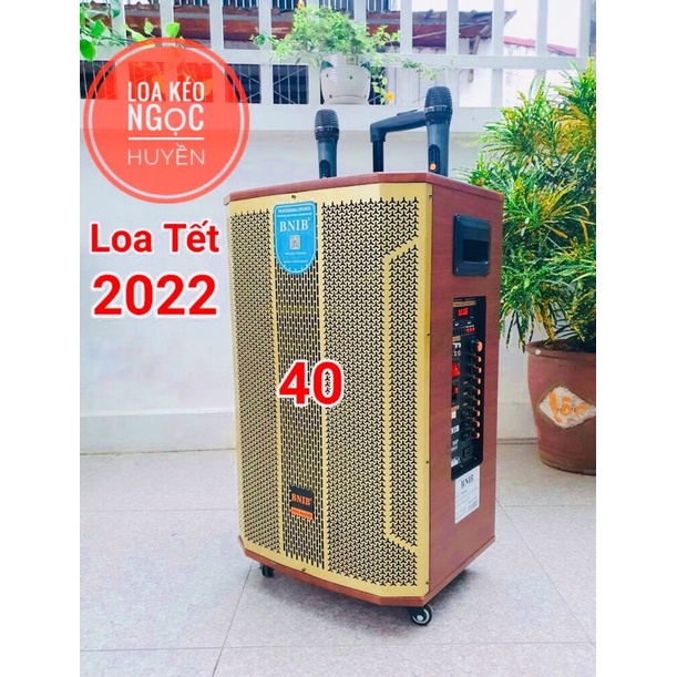 Loa kéo bluetooth hát karaoke - Loa BNIB 1599 Plus Bass 40 - Loa 3 đường tiếng