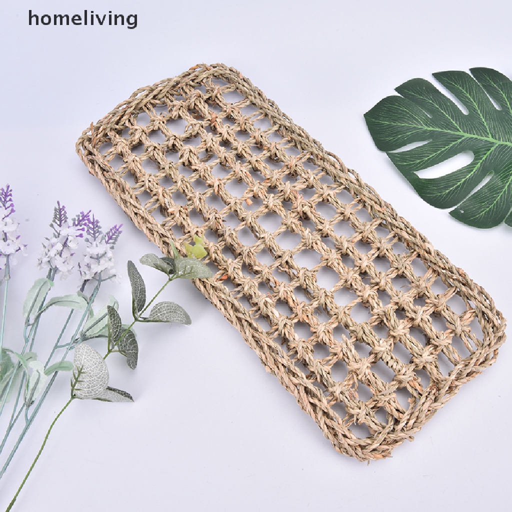 Võng Nằm Cho Thằn Lằn Bò Sát Tiện Lợi