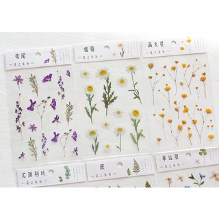 Sticker bông hoa trang trí sổ