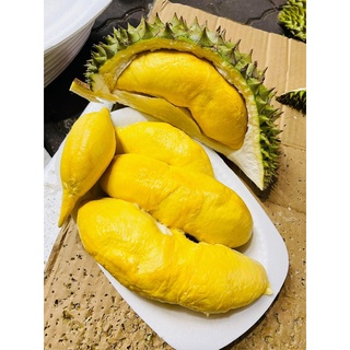 Cây sầu riêng ri 6 chuẩn giống
