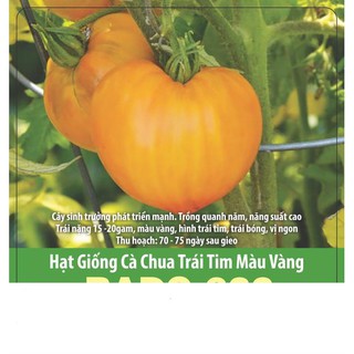 Hạt Giống Cà Chua Trái Tim Vàng