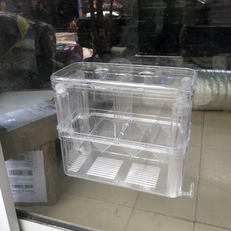 Lồng đẻ đôi, lồng tách, dưỡng cá bệnh