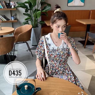 Bigsize Đầm hoa cổ thêu D435