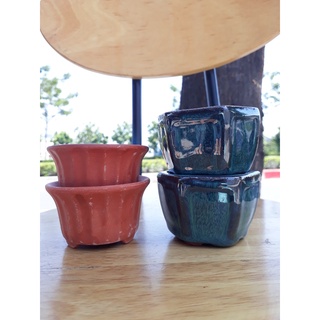 Chậu trồng cây mini