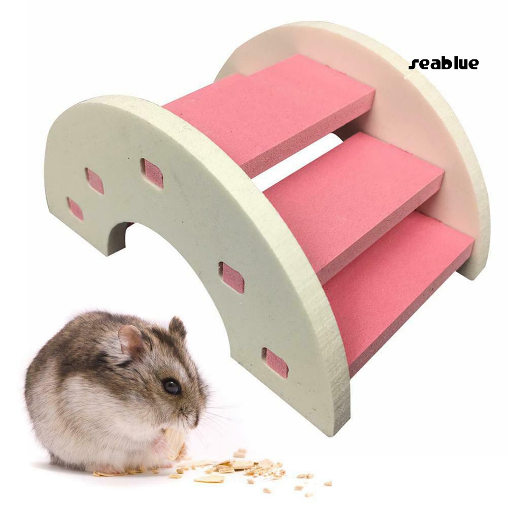 Đồ Chơi Cầu Thang Bằng Nhựa PVC Dành Cho Chuột Hamster