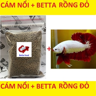 Cám betta 10g tặng betta rồng đỏ