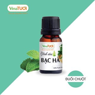 Tinh Dầu Bạc Hà Nguyên Chất Vina Tươi 10ml - Đuổi Chuột
