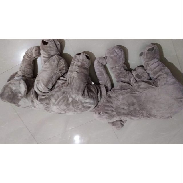 Gấu bông của nam phương