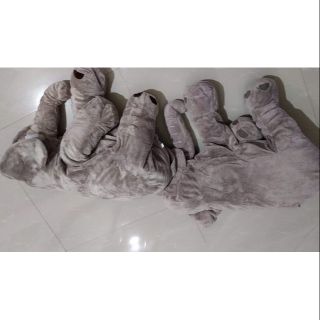 Gấu bông của nam phương