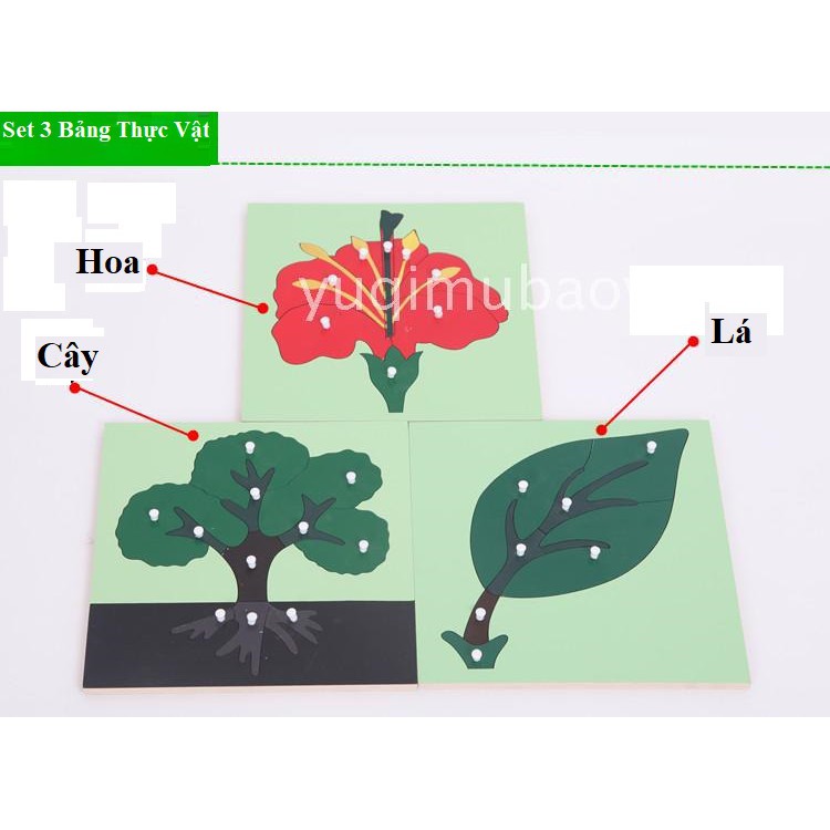 💖Giảm 10%💖  - Bảng Ghép Hình Sinh Học - Giáo Cụ Montessori