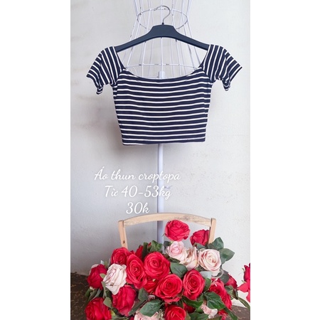 Áo thun dáng croptop