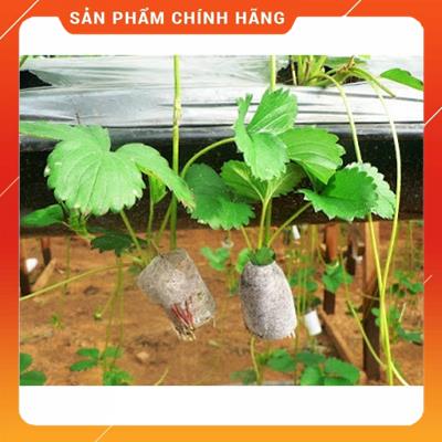 Viên nén ươm cây, Viên nén ươm hạt trồng cây, Viên nén xơ dừa MSP84688