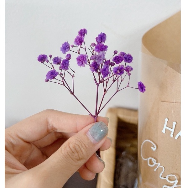 Nhánh hoa baby khô, hoa trang trí thiệp, bánh kem, qùa tặng