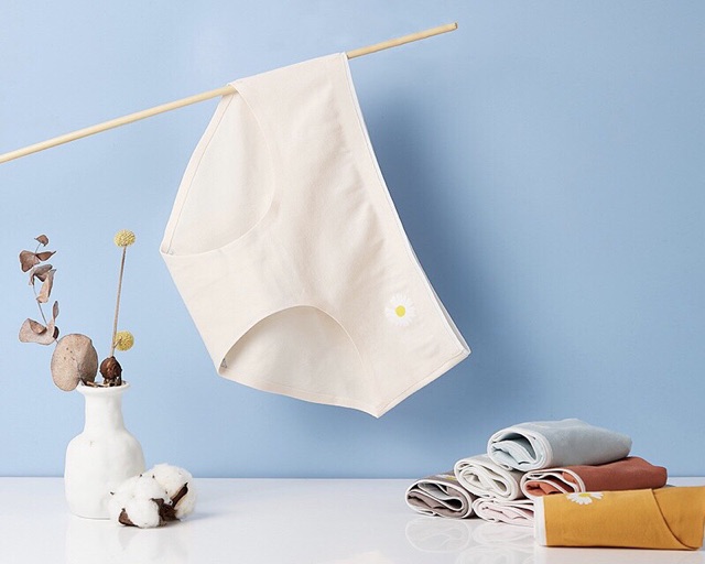 Quần Lót Cotton Ép Không Viền Hoa Cúc Hotrend 287