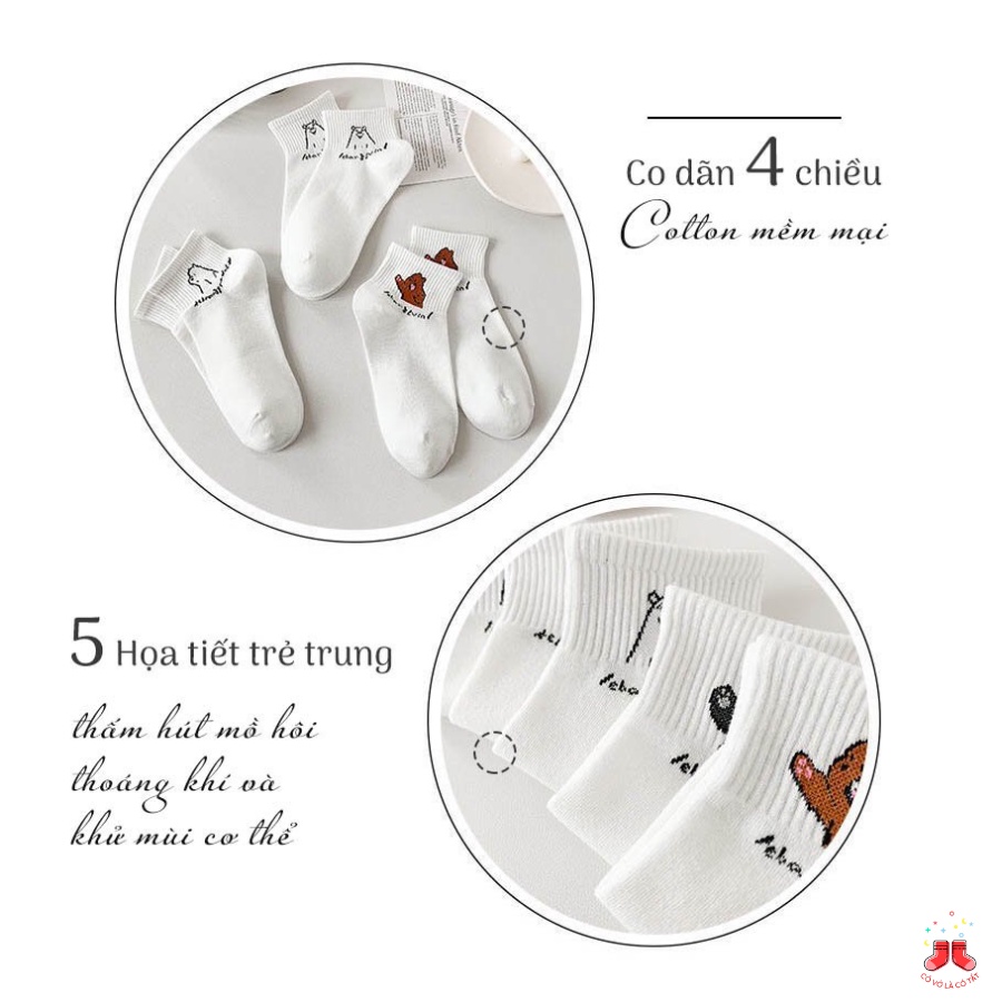 Tất vớ cổ ngắn nữ chất liệu vải Hàn co giãn, thoáng mát