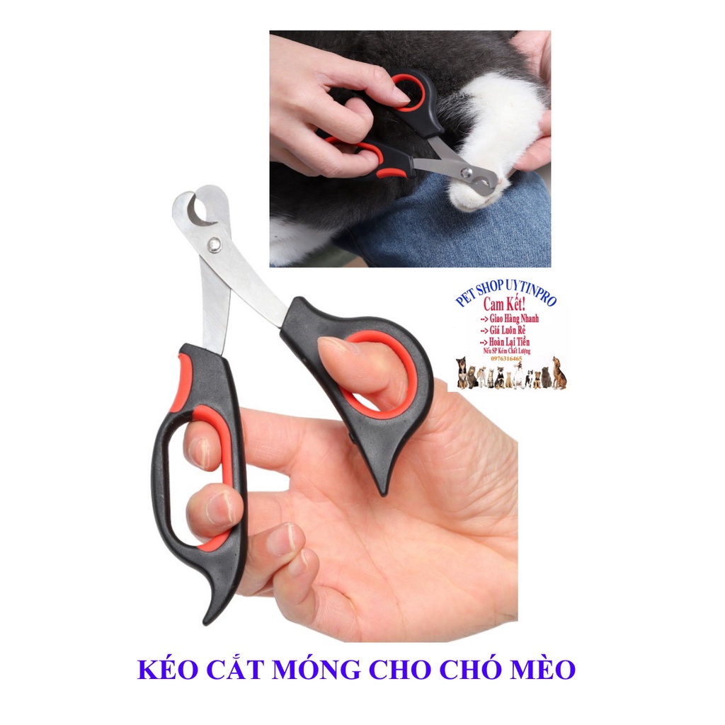 Kéo cắt móng Chó Mèo kèm dũa TAOTAOPETS dài 14cm Giúp móng thú cưng luôn sạch sẽ và chắc khỏe