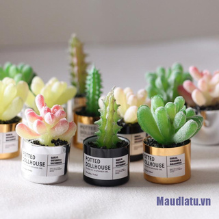 Chậu Cây Mini Trang Trí Nhà Búp Bê