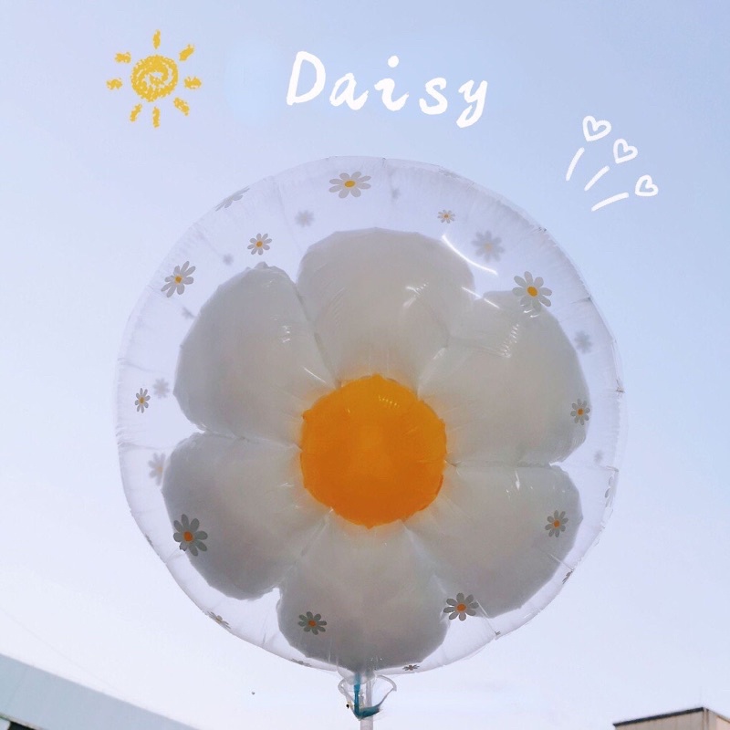 Set 2 bóng hoa cúc trắng daisy lồng bóng trong size 24&quot; 45cm