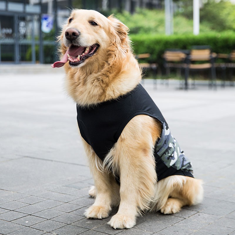 Quần áo cho chó Golden Retriever thú cưng Samoyed mùa hè chó lớn mùa hè vest tru