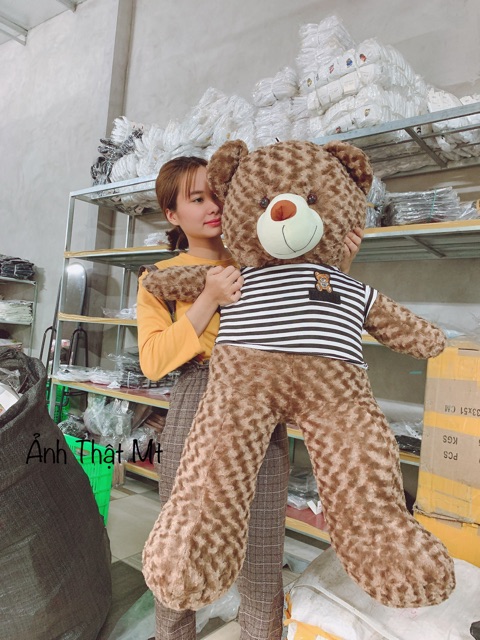 Gấu Teddy Cao Cấp  FREESHIP  Gấu Bông Teddy Khổ Vải 1M,1M2,1M5,1M7 Hàng VNXK Chất Đẹp