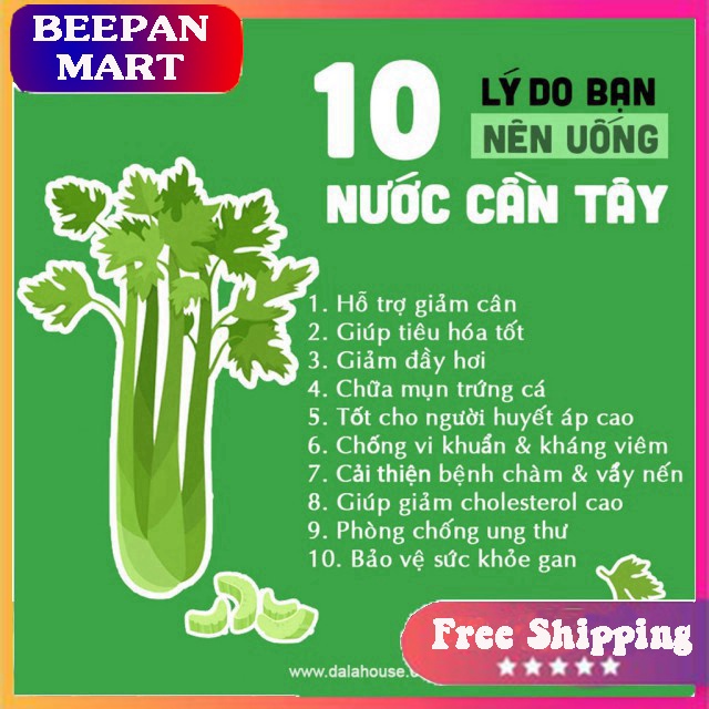 Bột Cần Tây Nguyên Chất 100% - [FREESHIP] - Dalahouse - Giảm Cân Hiệu Quả - Làm Đẹp Da