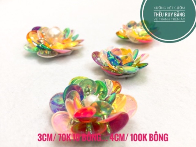 HOA KIM XA NGŨ SẮC