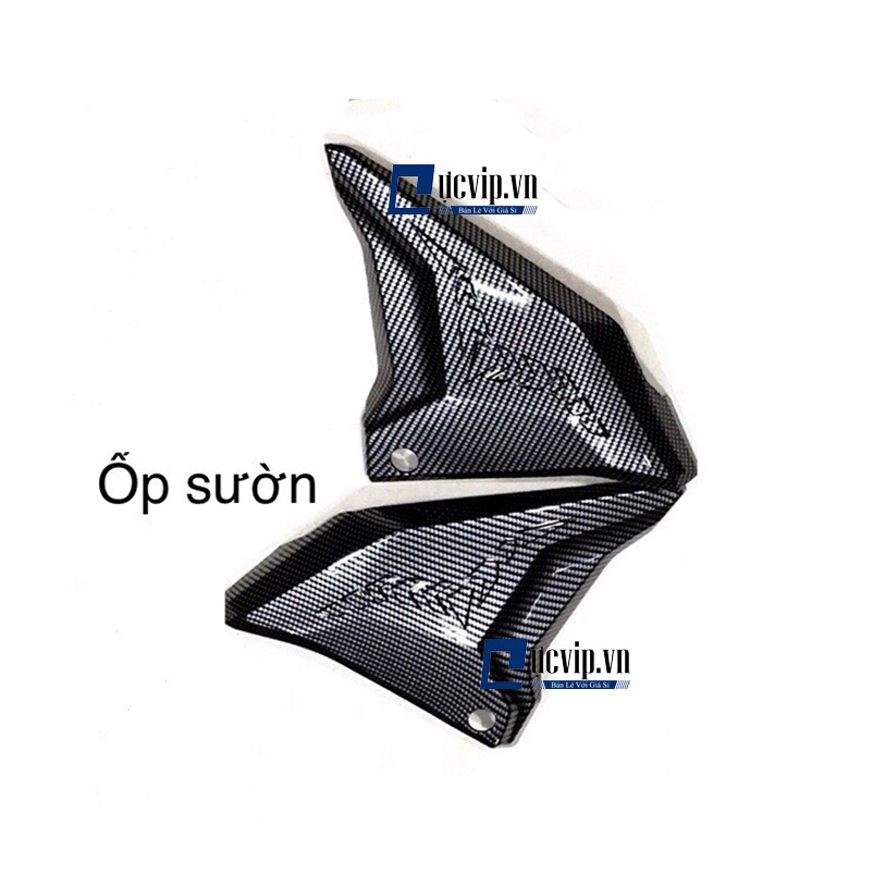 Ốp Sườn Carbon Gắn Cho Xe Winner X MS1810
