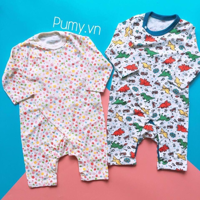 Combo 2 xuất Nhật (màu ngẫu nhiên)