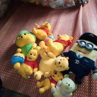 Gấu của chi người lạ