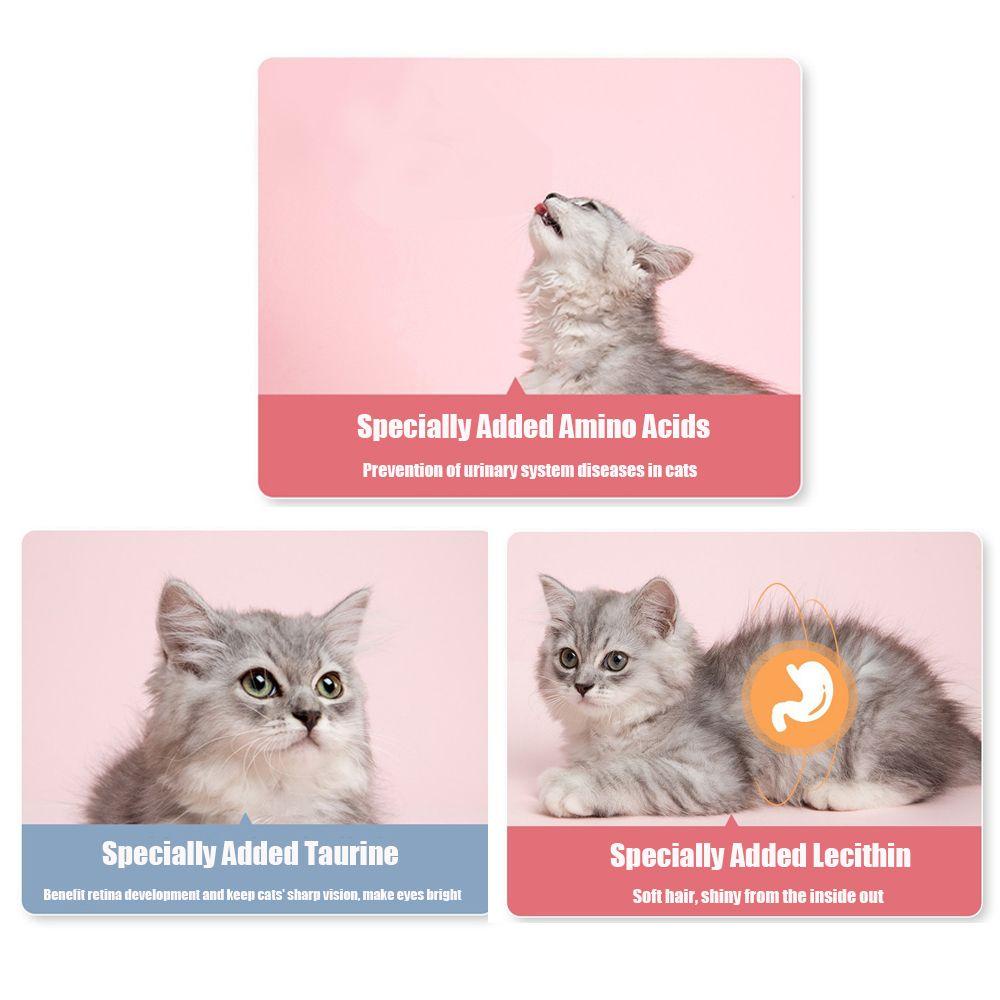 Set 1 / 10 Dụng Cụ Huấn Luyện Ăn Uống Cho Mèo Tiện Dụng