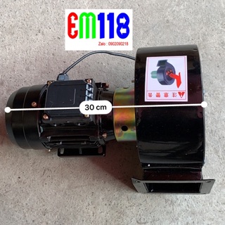 EM118 - Quạt hút - quạt sò nhiệt DFY-300 300W 220V