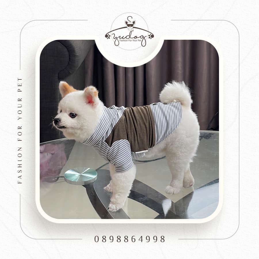 Áo thun trụ phối có tay cho chó mèo yudog