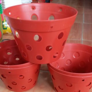 Chậu trồng lan đường kính 17cm