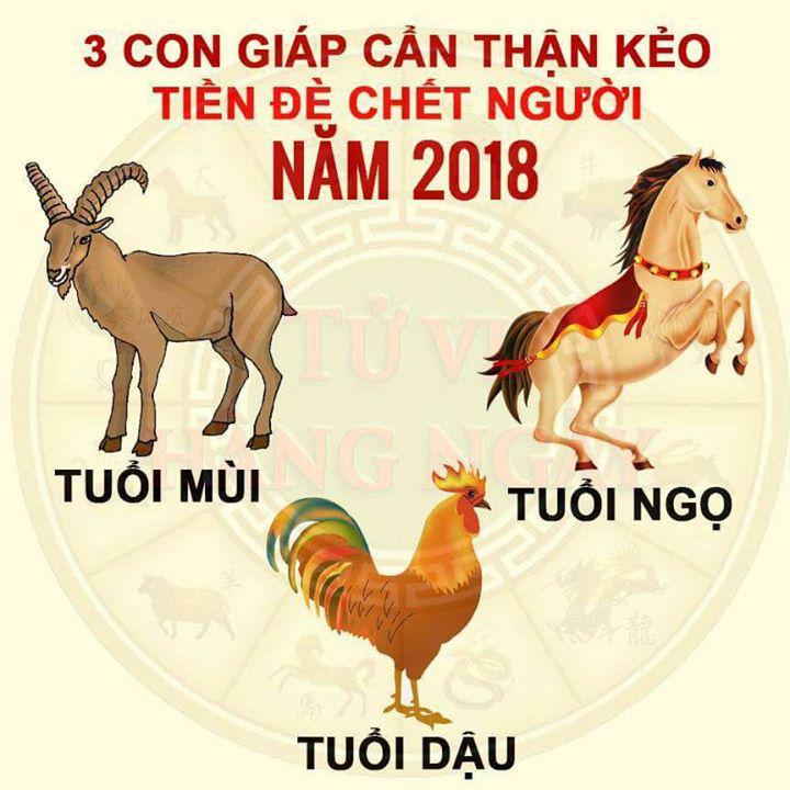 CTY DV XNK THUẬN PHÁT 