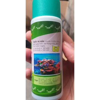 Sát trùng hồ cá cá cảnh