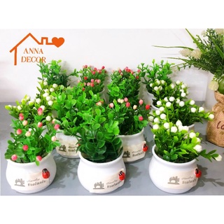 Chậu hoa mini nhỏ trang trí để bàn