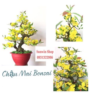 CHẬU HOA MAI BONSAI CAO 92CM-CÂY MAI GIẢ(BM20)