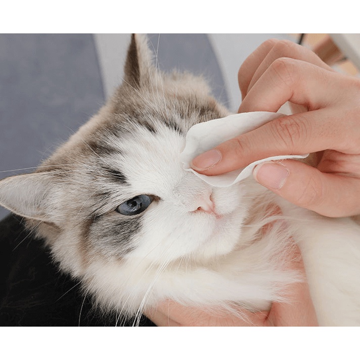Khăn/ Giấy ướt vệ sinh mắt chó mèo SOS chứa chiết xuất nha đam, nhẹ nhàng làm sạch vùng mắt cho thú cưng 100 miếng