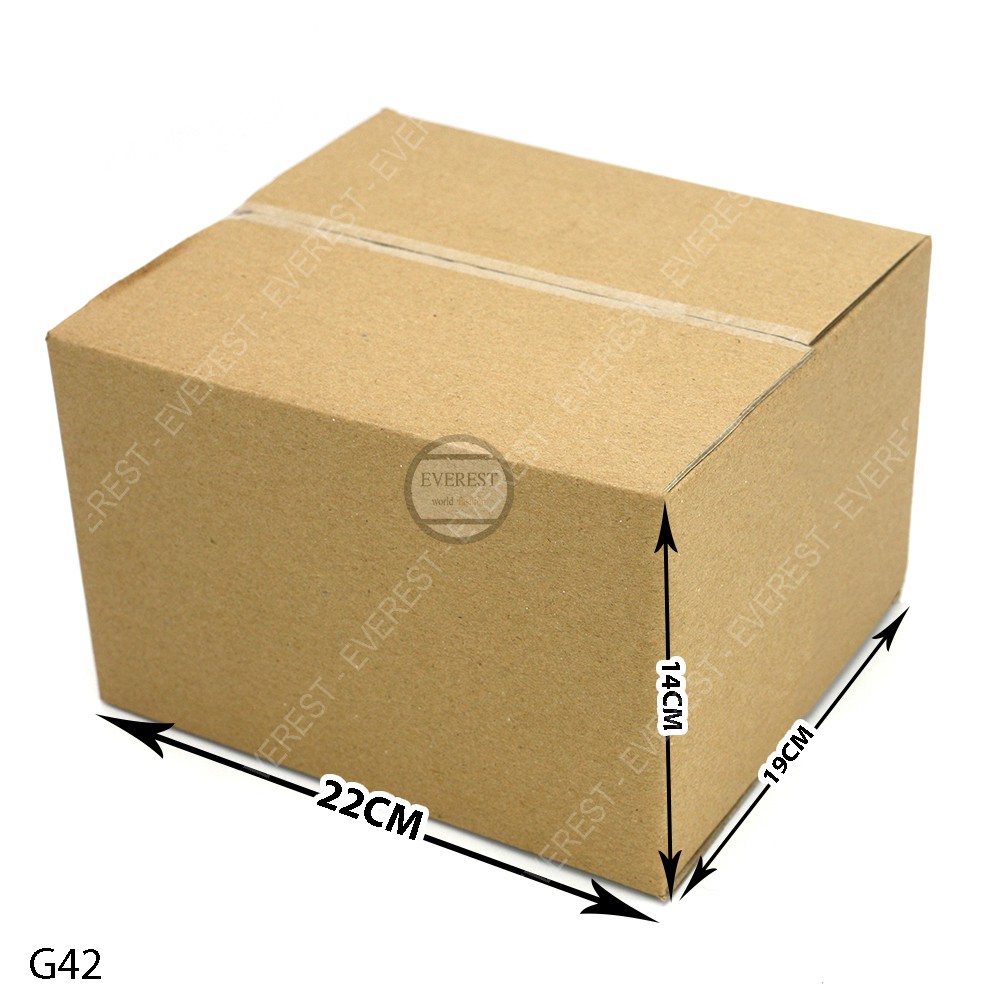 Combo 20 thùng G42-22x19x14 giấy carton gói hàng Everest
