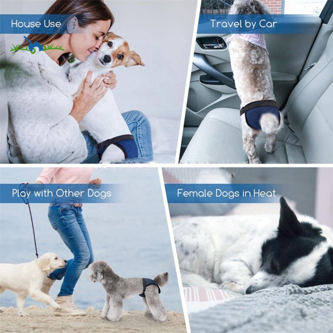 Quần Sinh Lý Chống Thấm Nước Chống Rò Rỉ Cho Chó Cưng