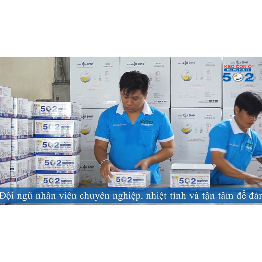 Keo 502 Asia Con Ó chất lượng cao Hàng xuất khẩu