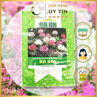 Hạt Giống Hồng Ri Nhiều Màu RD 844 gói 10 hạt