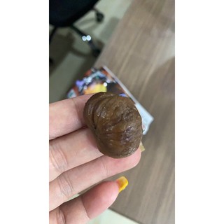 Hạt dẻ chesnut Organic100gr ( Đã tách HẾT VỎ)