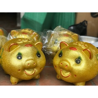 Lợn pi kim tuyến size to ( kèm video và ảnh thật )