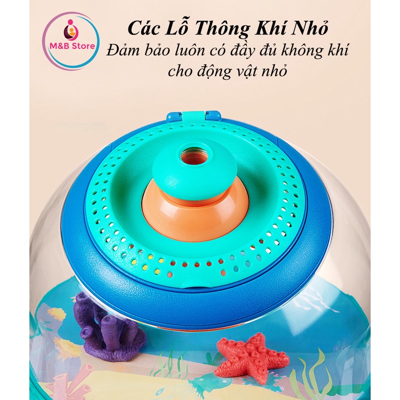 Hộp Quan Sát Sinh Vật, Côn Trùng - KUB
