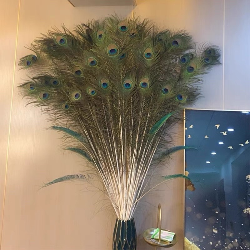 Lông công thật 100% phong thủy loại dài 60cm-1m3 trang trí bàn thờ, vật phẩm phong thuỷ thu hút tài Lộc nc