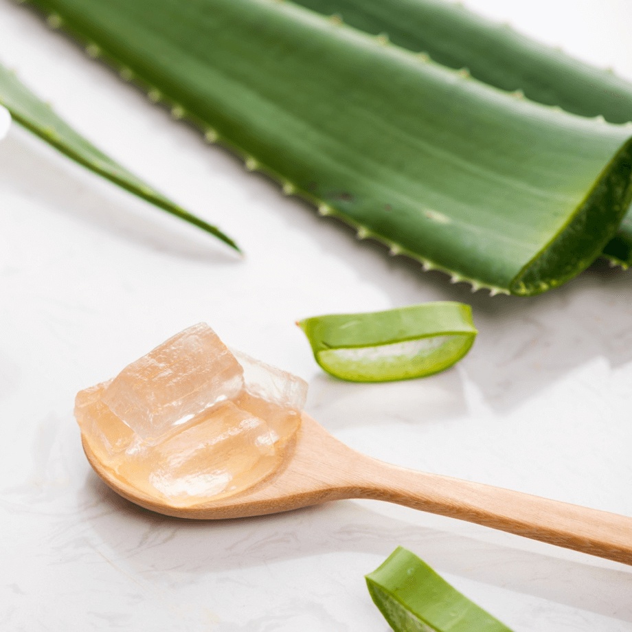 Thạch nha đam nguyên khoa 1kg, hạt có độ giòn, độ thơm và đều miếng - BẾP NGUYÊN KHOA