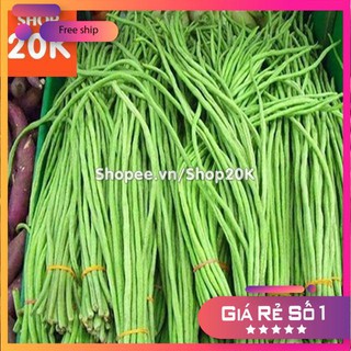 Hạt giống Đậu đũa cao sản