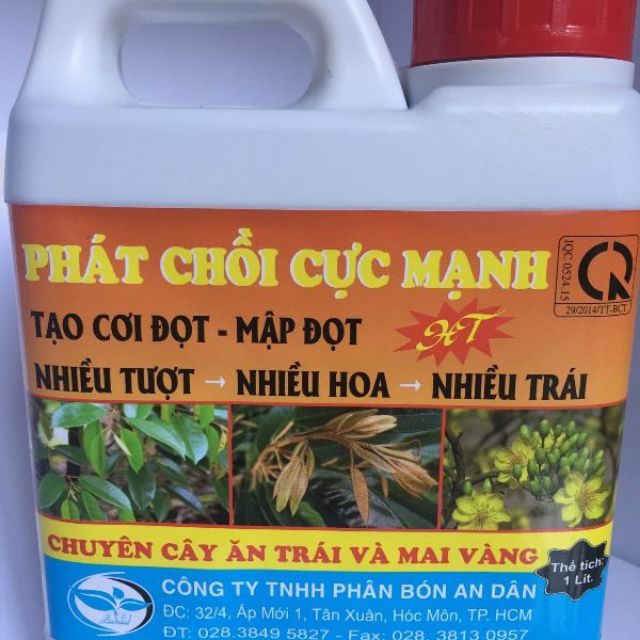 VUA ĐÂM CHỒI