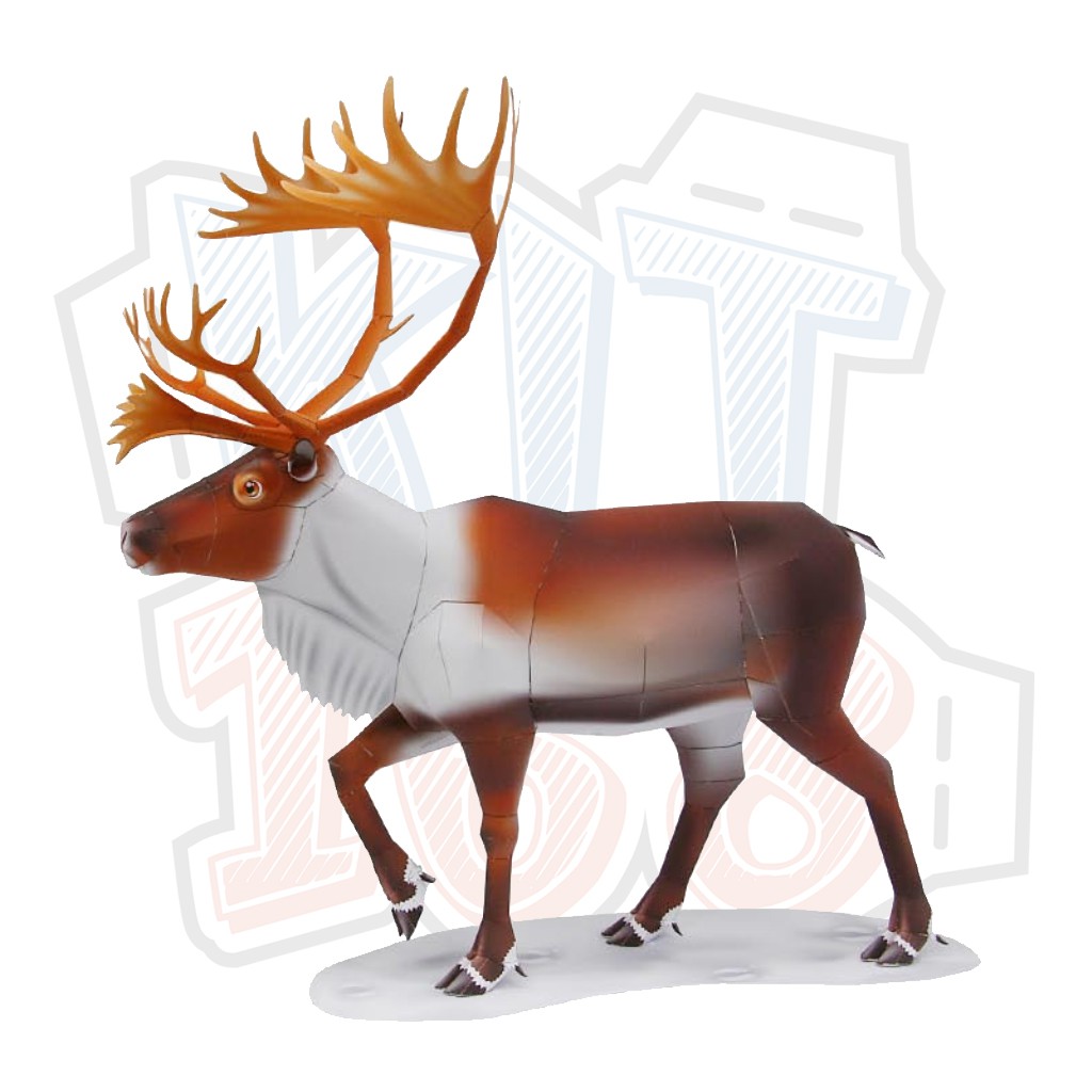 Mô hình giấy động vật tuần lộc Reindeer